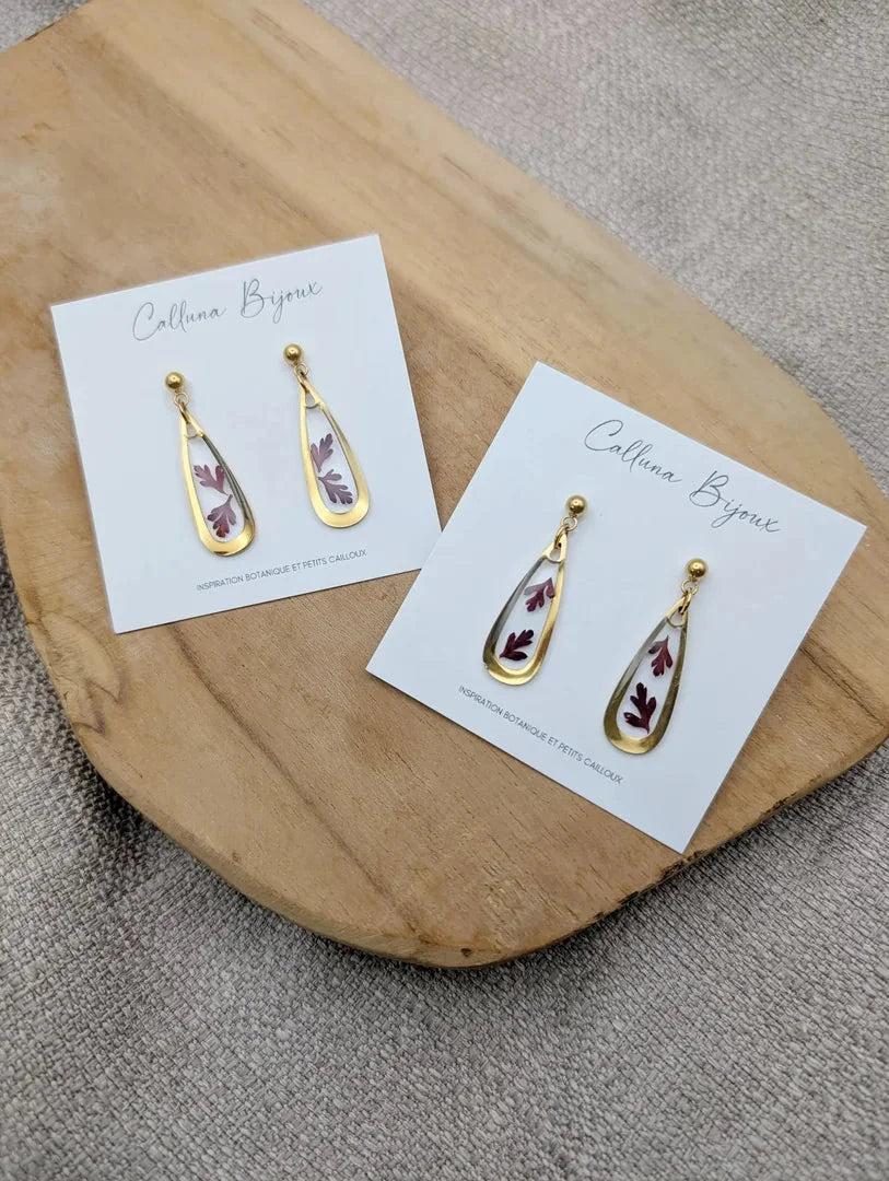 Boucles gouttes géranium sauvage