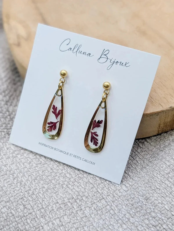 Boucles gouttes géranium sauvage